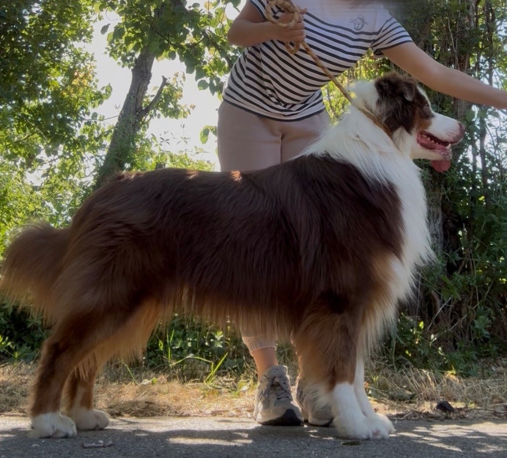 Publication : Anais Germa Auteur : Moi