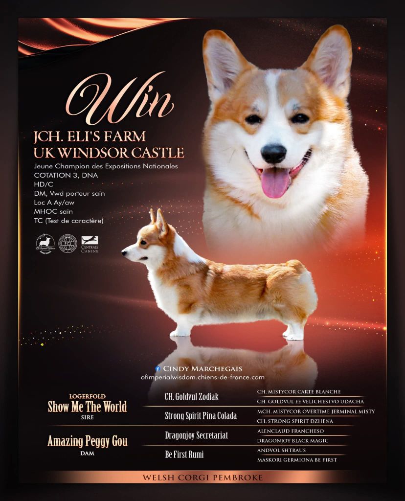 Publication : Of Impérial Wisdom 