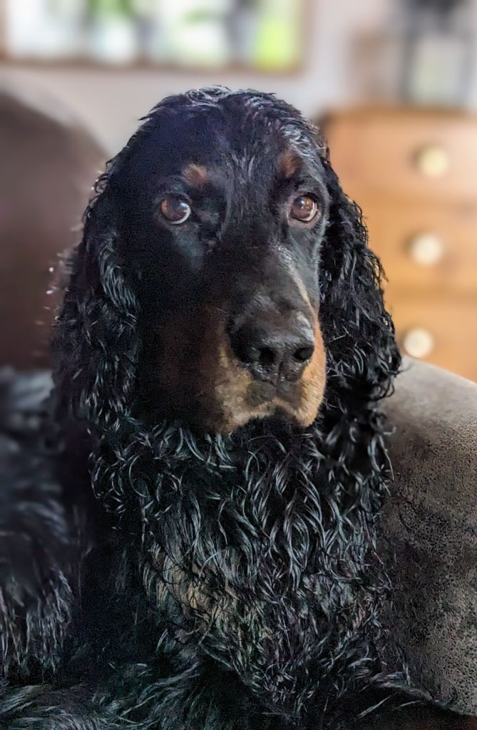 Publication : Du Vallon Des Bécasses Auteur : bennic serge