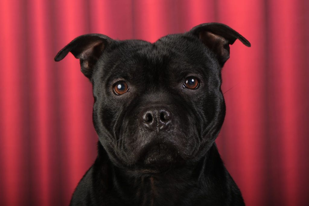 Publication : Charlotte Depreux 