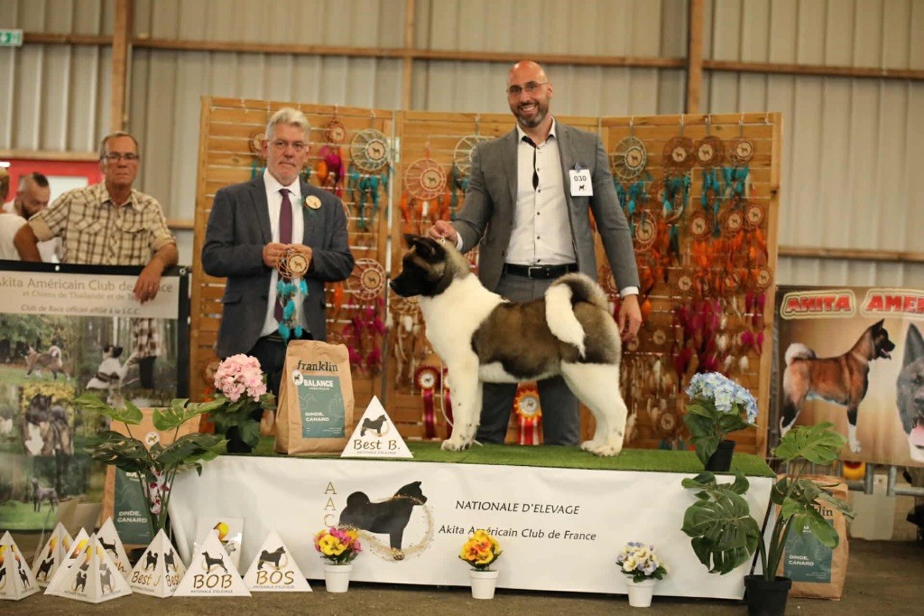 Publication : Sendosan 