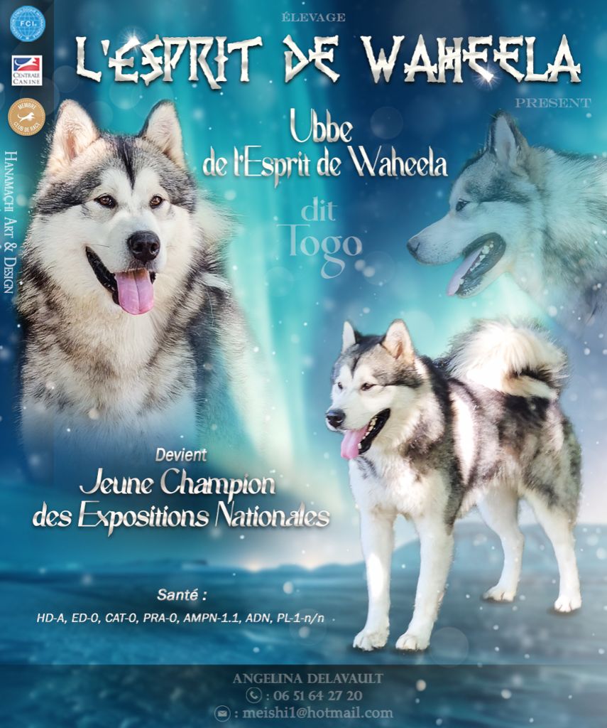 Publication : De L'Esprit De Waheela 
