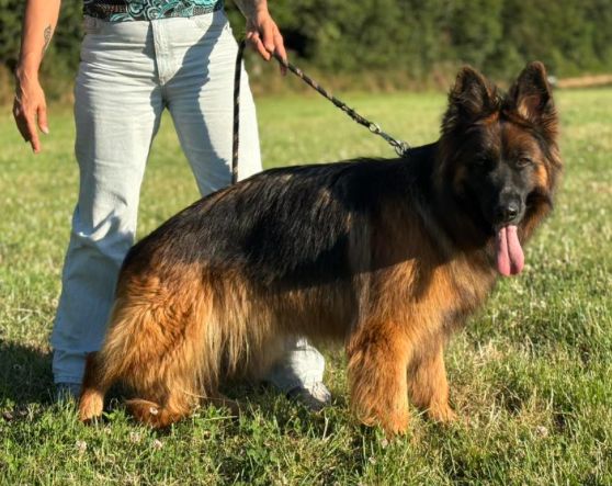 Publication : Of Guardians Of The Tribe