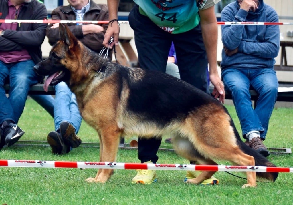 Publication : Von Haus Kenzy 