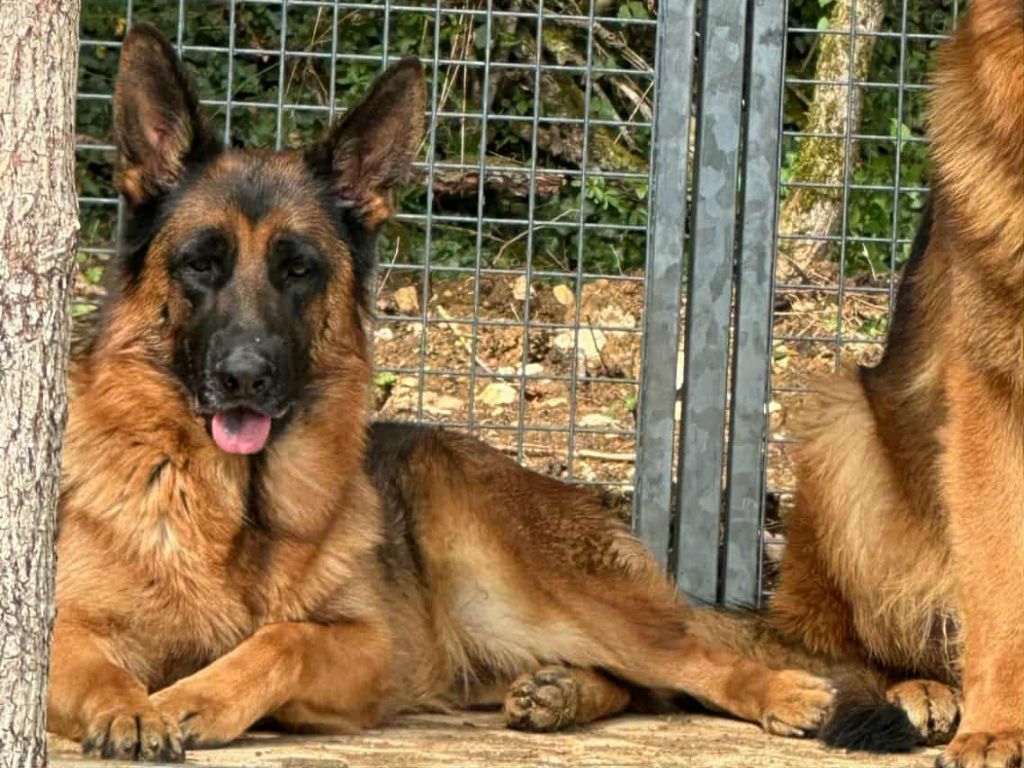 Publication : Des Seigneurs Du Clain 