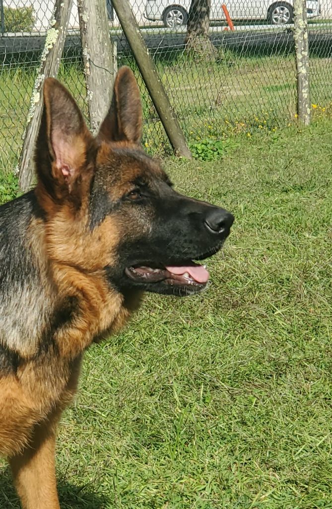 Publication : des Champs Brûlés 