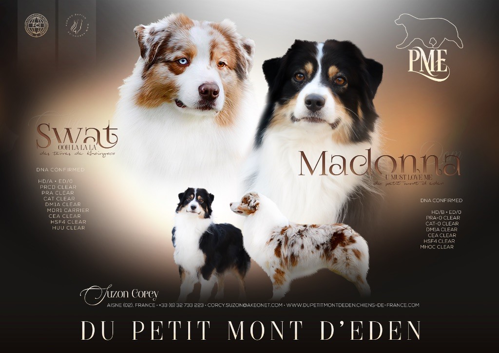 Publication : Du Petit Mont D'éden 