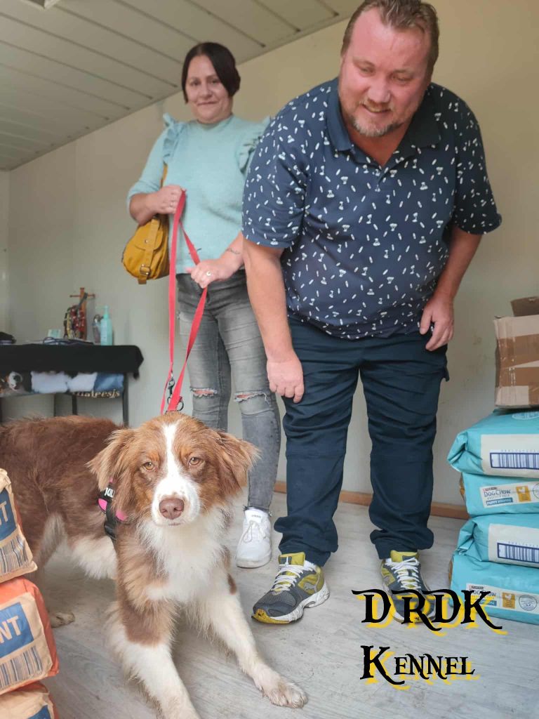 Publication : Du Royaume Des Khaleesis Auteur : DRDK Kennel