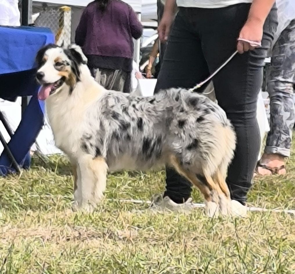 Publication : Du Royaume d'Amasa 