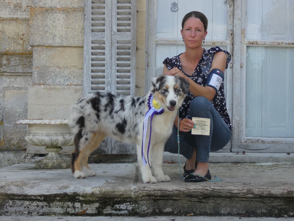 Publication : Des Gardiens De Tounfi Auteur : Delphine SEVERIN