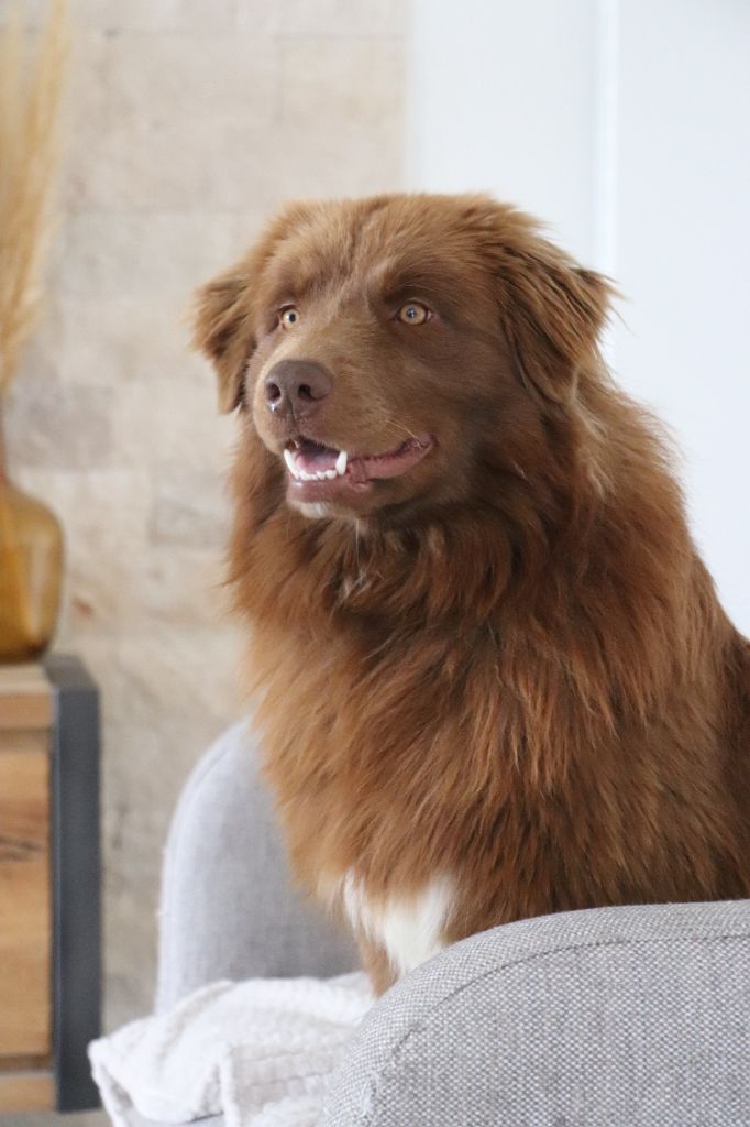 Publication : De La Terre D'Elliot 