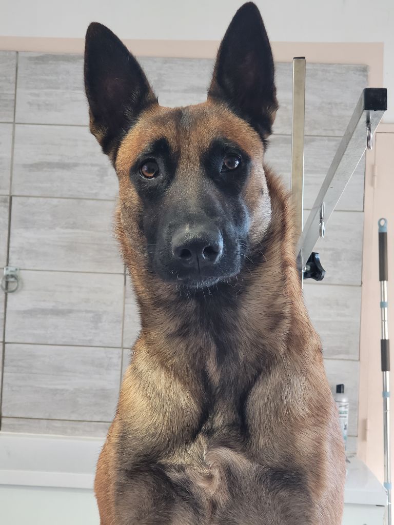 Publication : Des Sources De Loko Auteur : PropriÃ©taire 