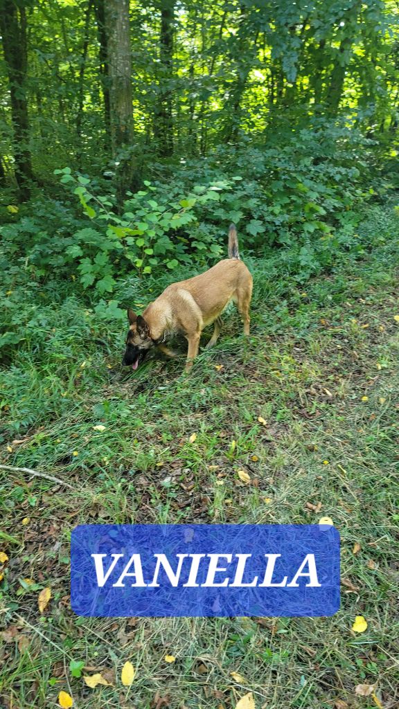 Publication : Du domaine de maryanne Auteur : sylvain prod hon