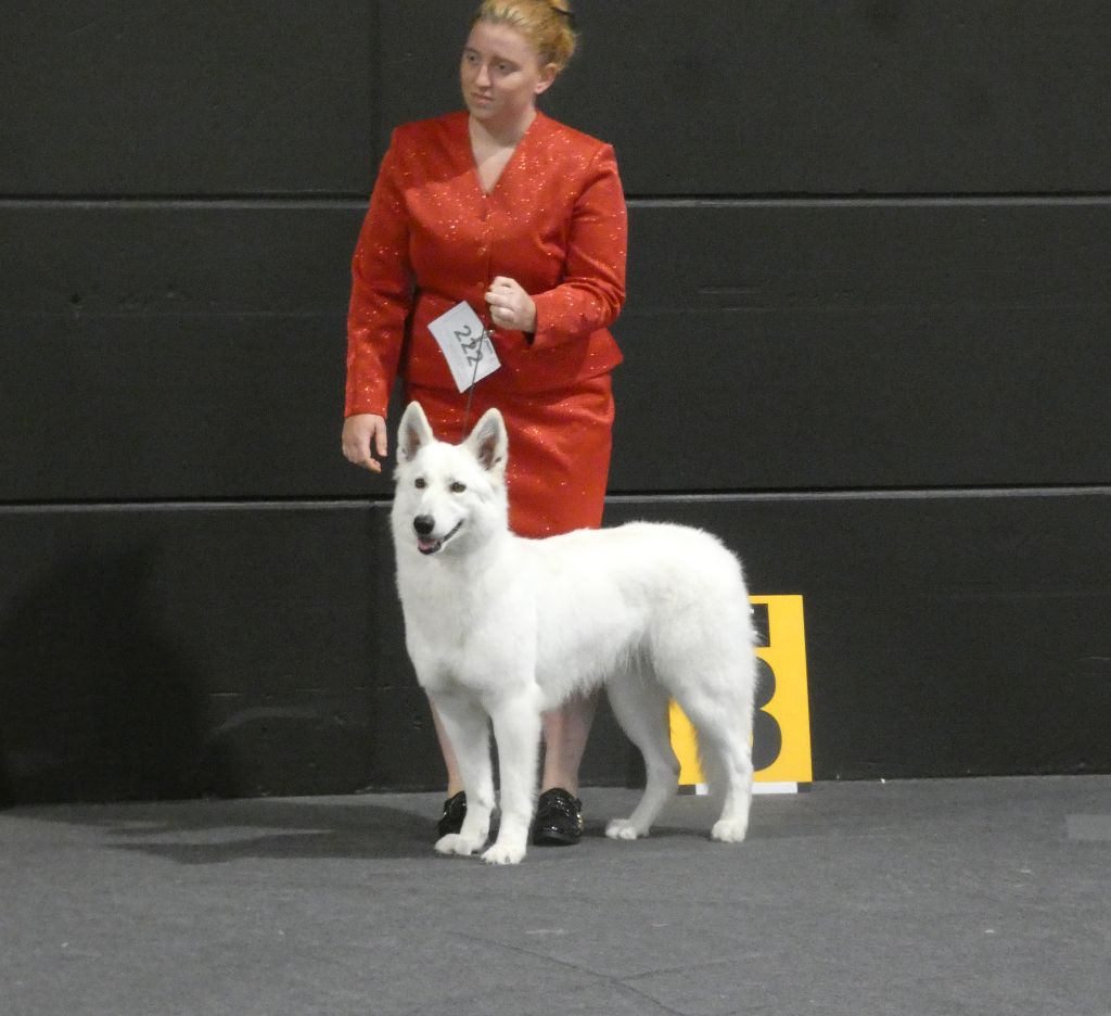 Publication : Della Bianca Neve Auteur : Ranuzzi