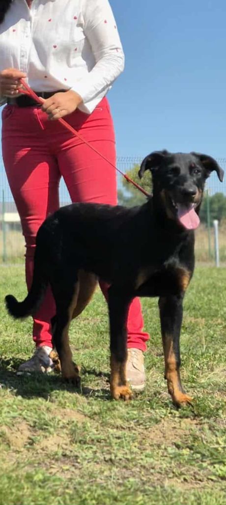 Publication : des Bas Rouges de Madame 