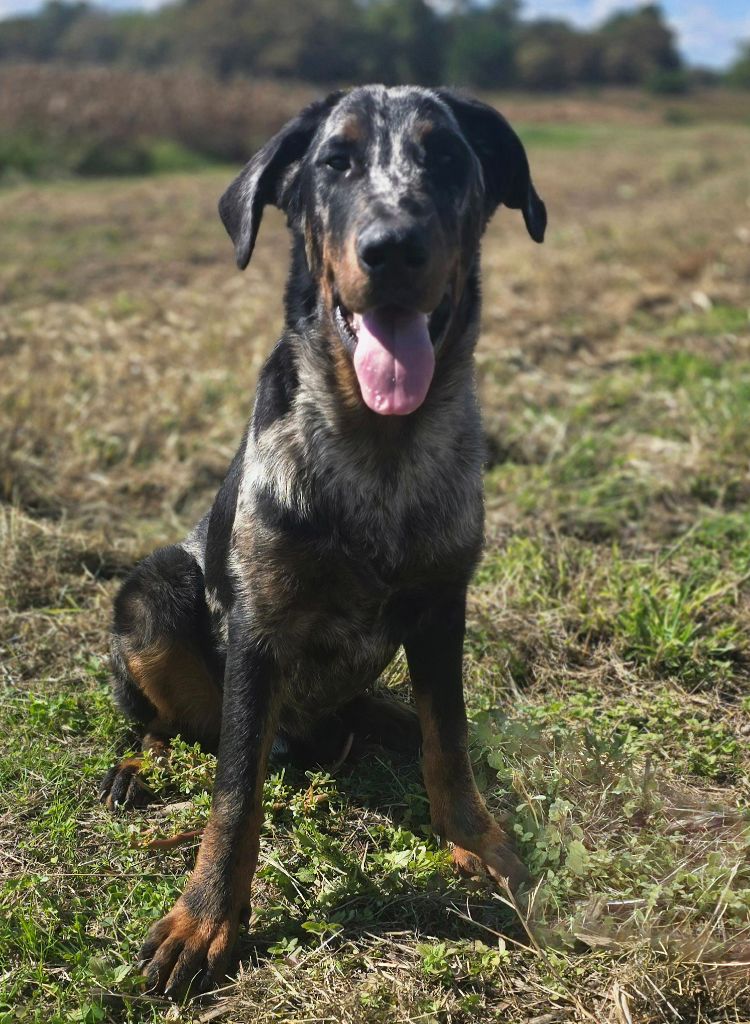 Publication : Du Clos Des Loutres 