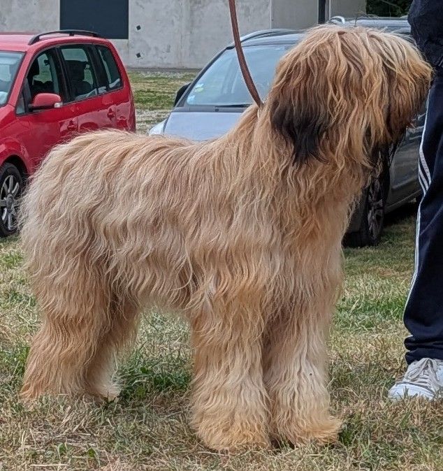 Publication : des gardiens du petit ange 