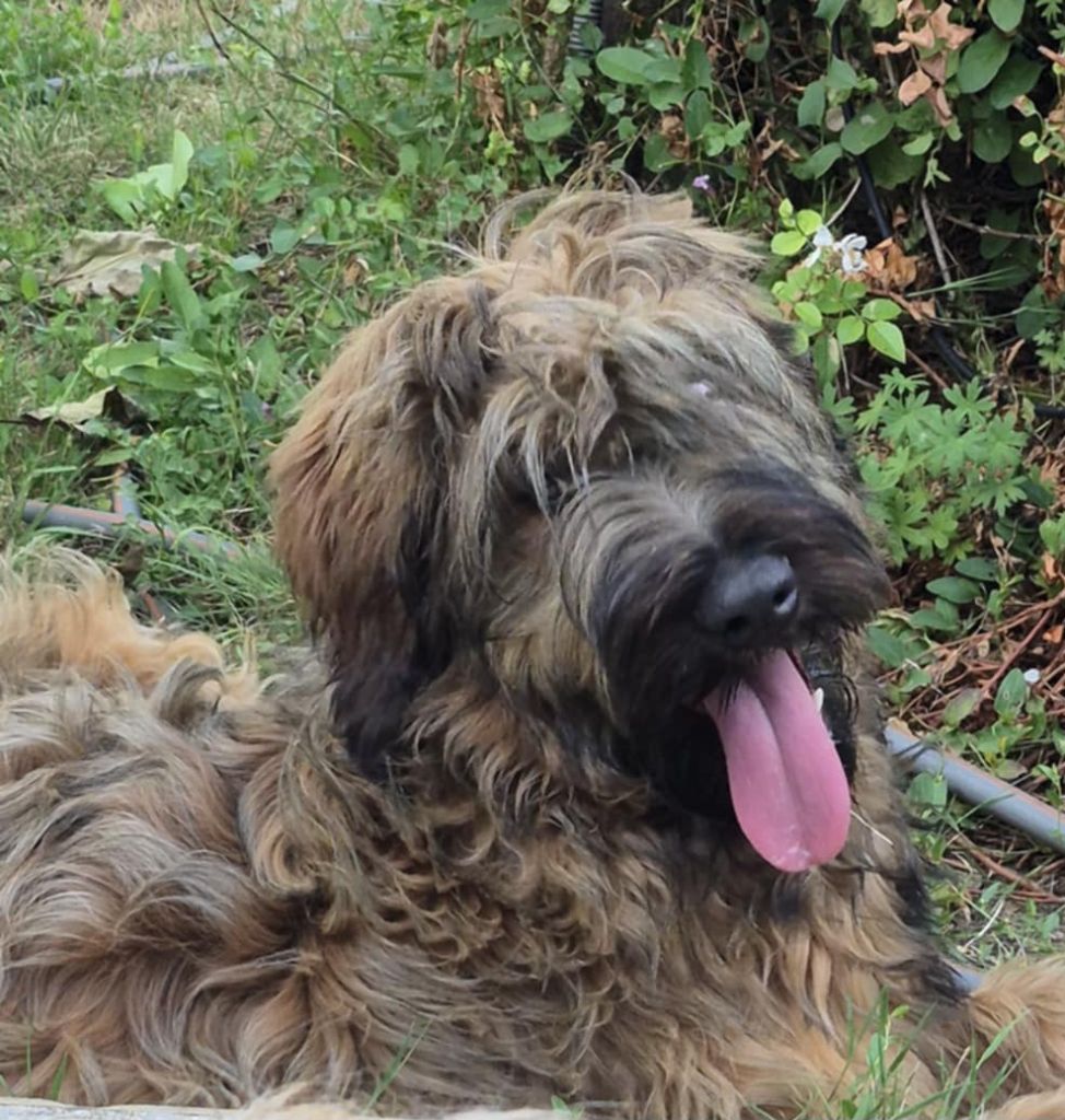 Publication : De La Baie Des Sables 