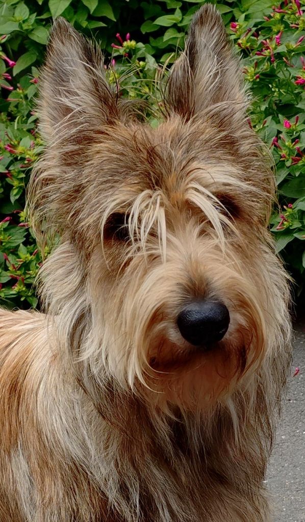 Publication : De La Riviere Authie Auteur : La Rivière Authie