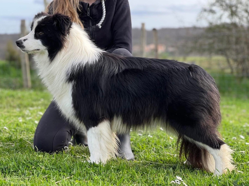 Publication : Des Bergers des Mille et Une Nuit 