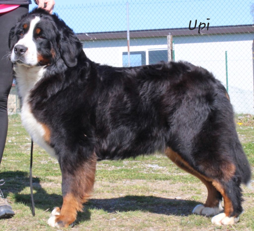 Publication : De La Colline D'Eole 