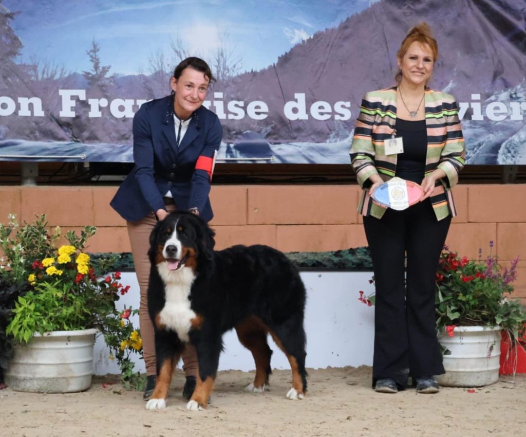 Publication : du royaume des reves 