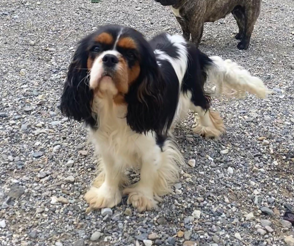 Publication : des gardiens de Leana 