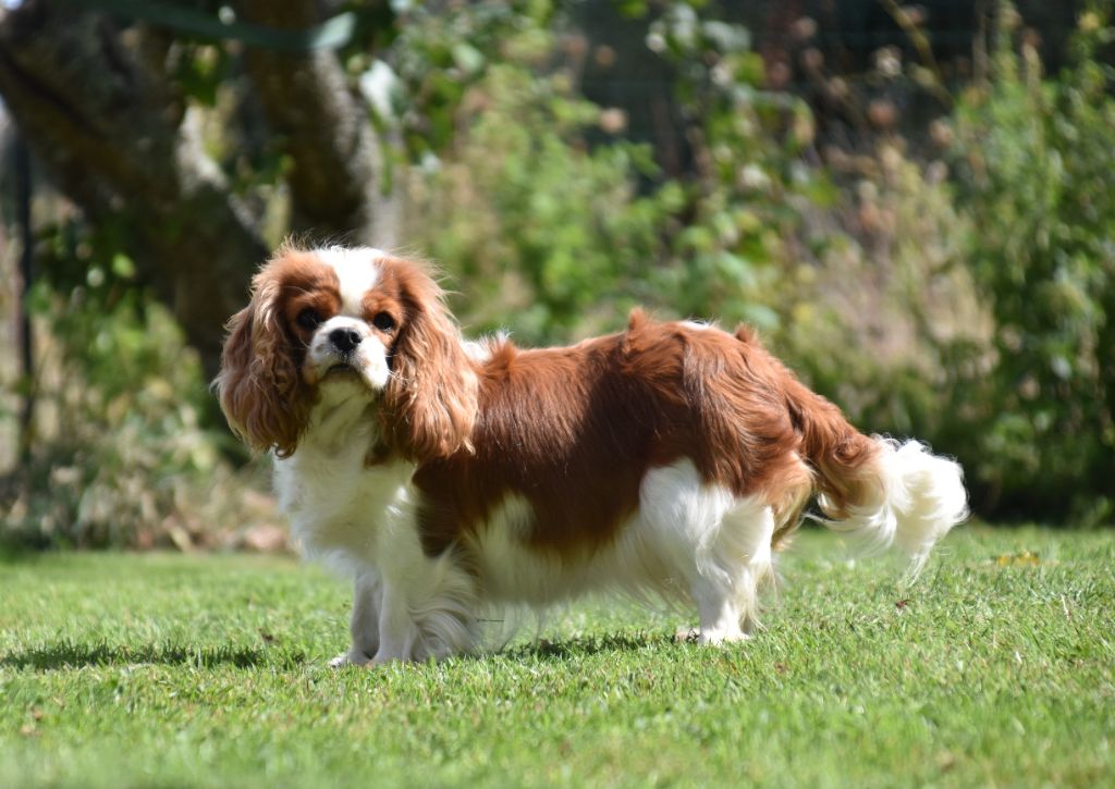 Publication : Du Repère Des Poilus