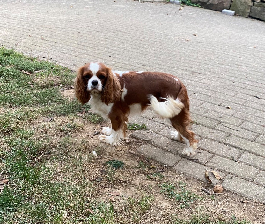 Publication : des gardiens de Leana 