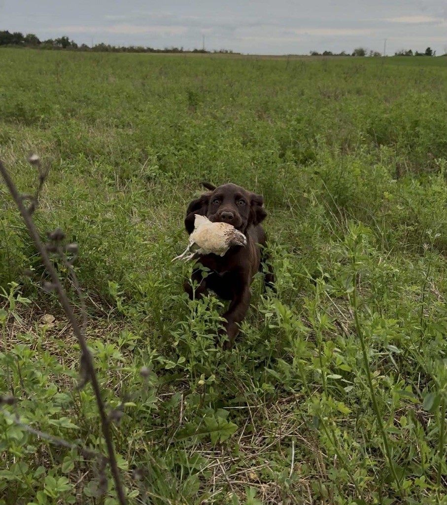 Publication : De La Graverotte Auteur : CrÃ©dit photo: FranÃ§ois Fricant
