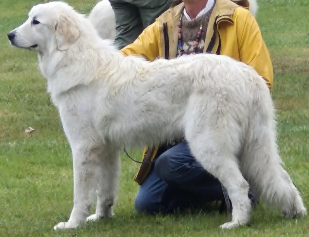 Publication : Du pic de viscos Auteur : (10 mois) photo Sophi Delchambre