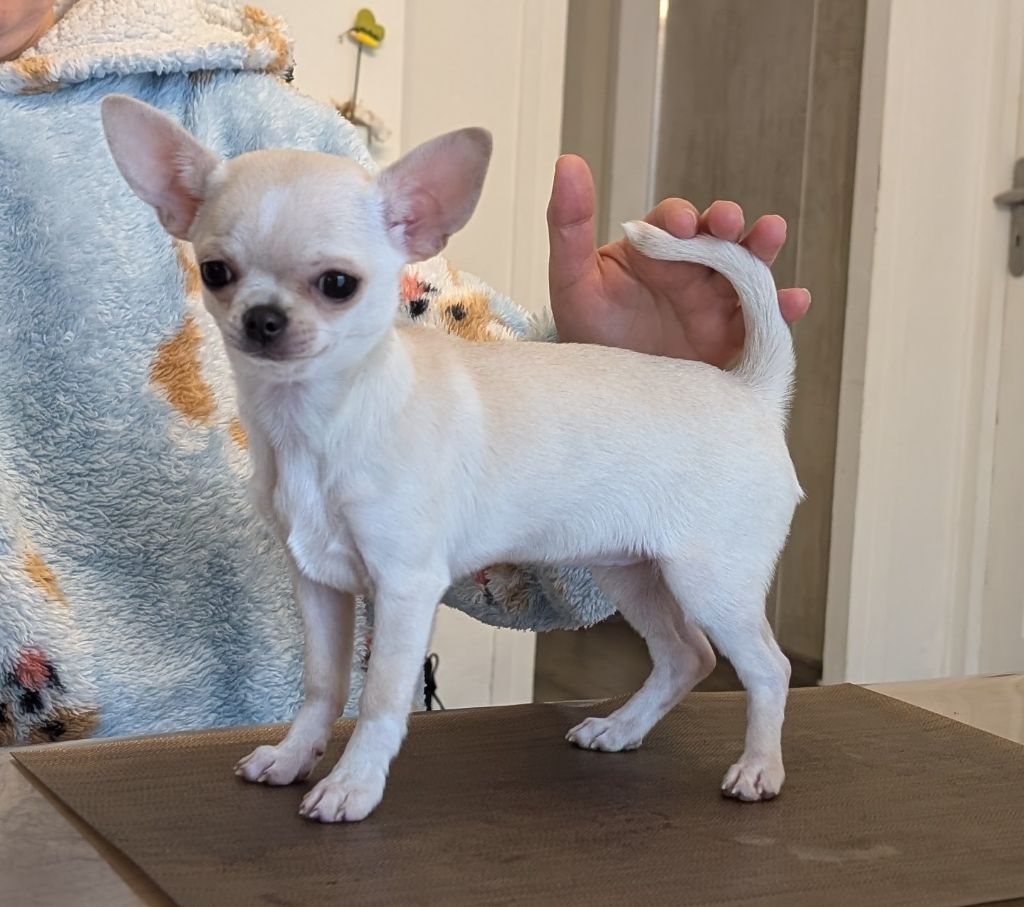 Publication : Des graines de stars 