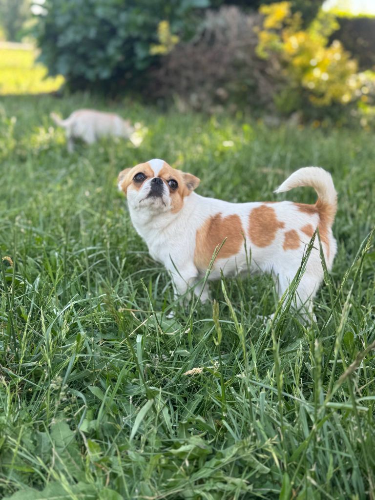 Publication : (Sans Affixe) Auteur : NELLY MORON