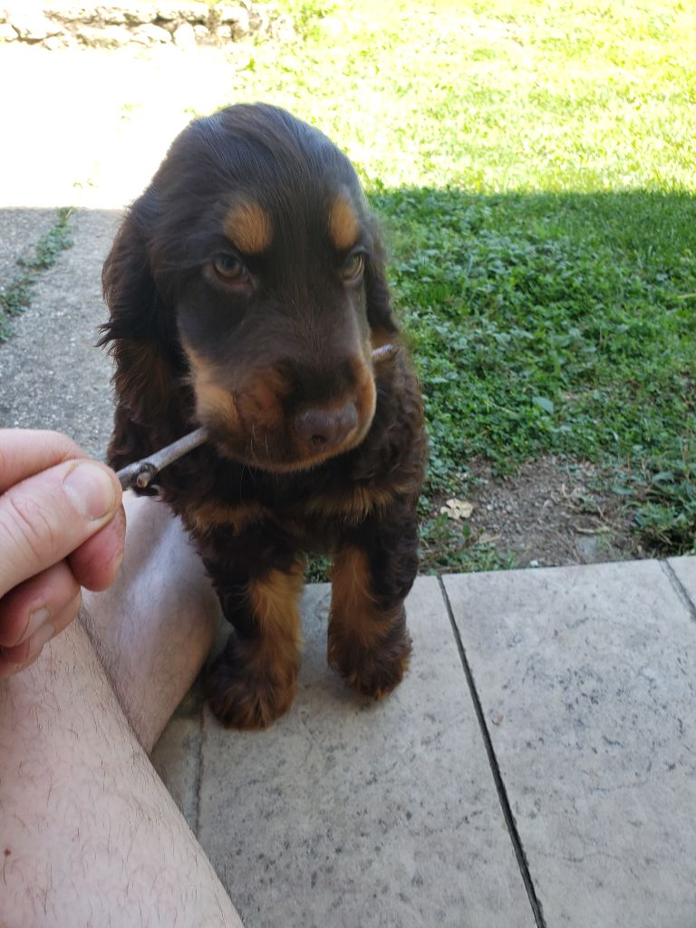 Publication : De La Contee De Laye Auteur : EBCQ