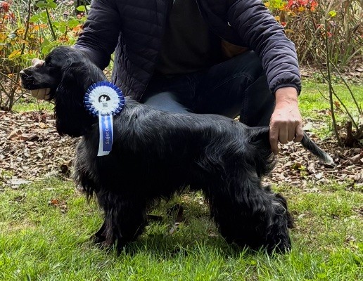 Publication : Du Souvenir De Romy 