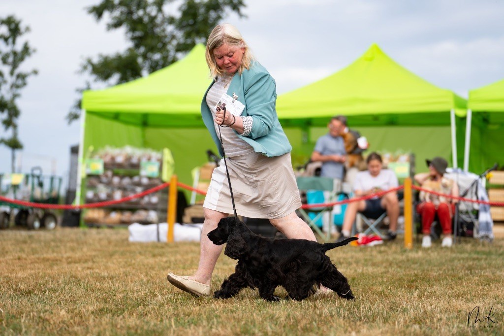 Publication : Blue Vroland Auteur : Marion Karl