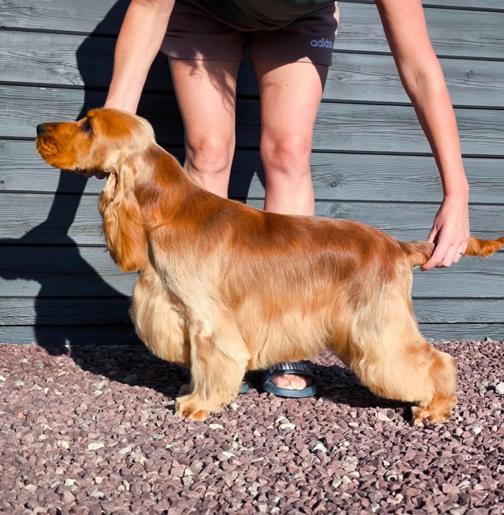 Publication : Of merrily