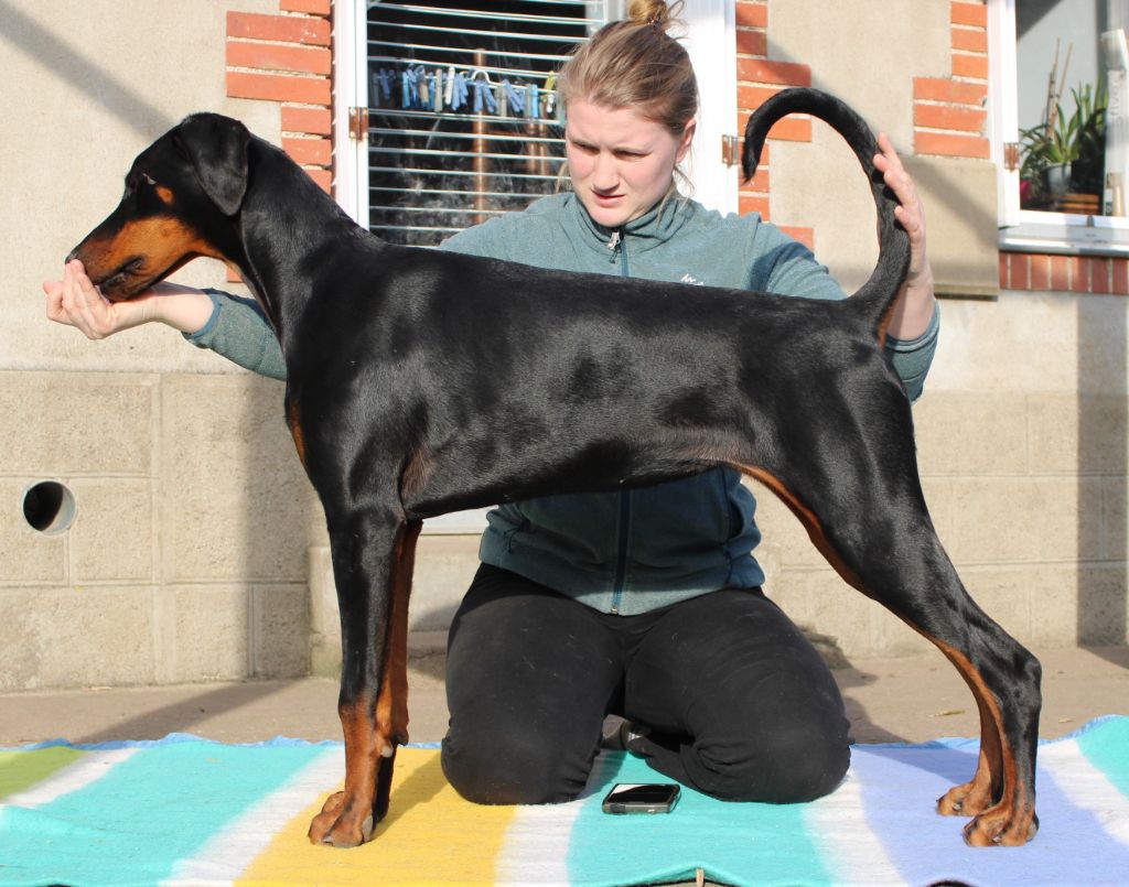 Publication : Des Anges Du Mont D'or