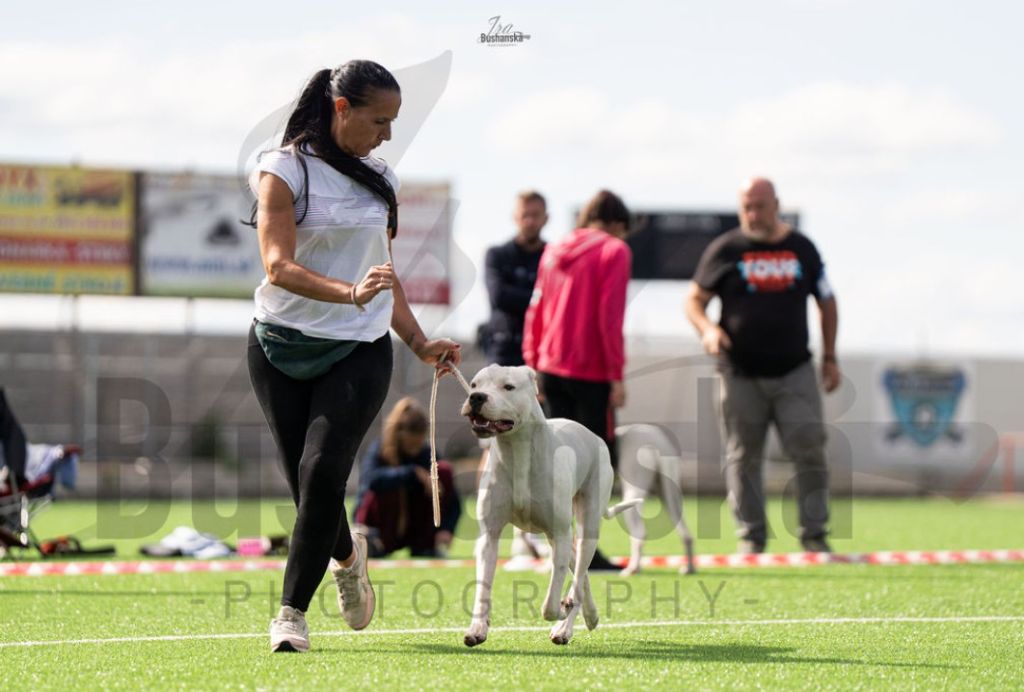 Publication : del Pachanka