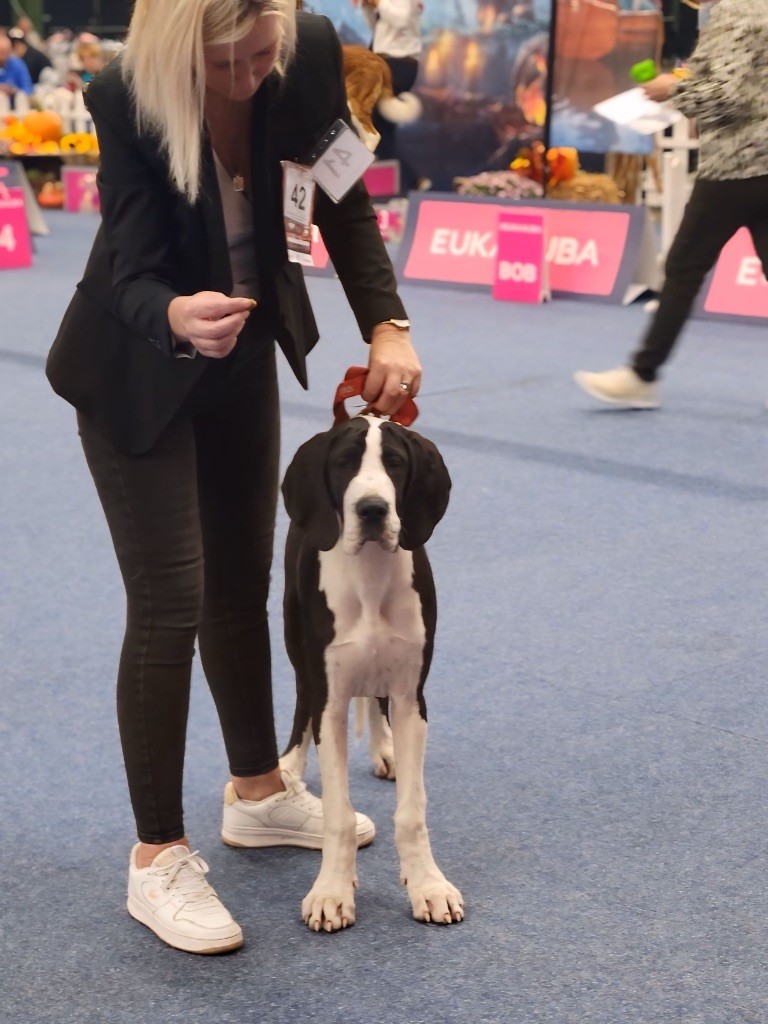 Publication : Domaine Di Matcho