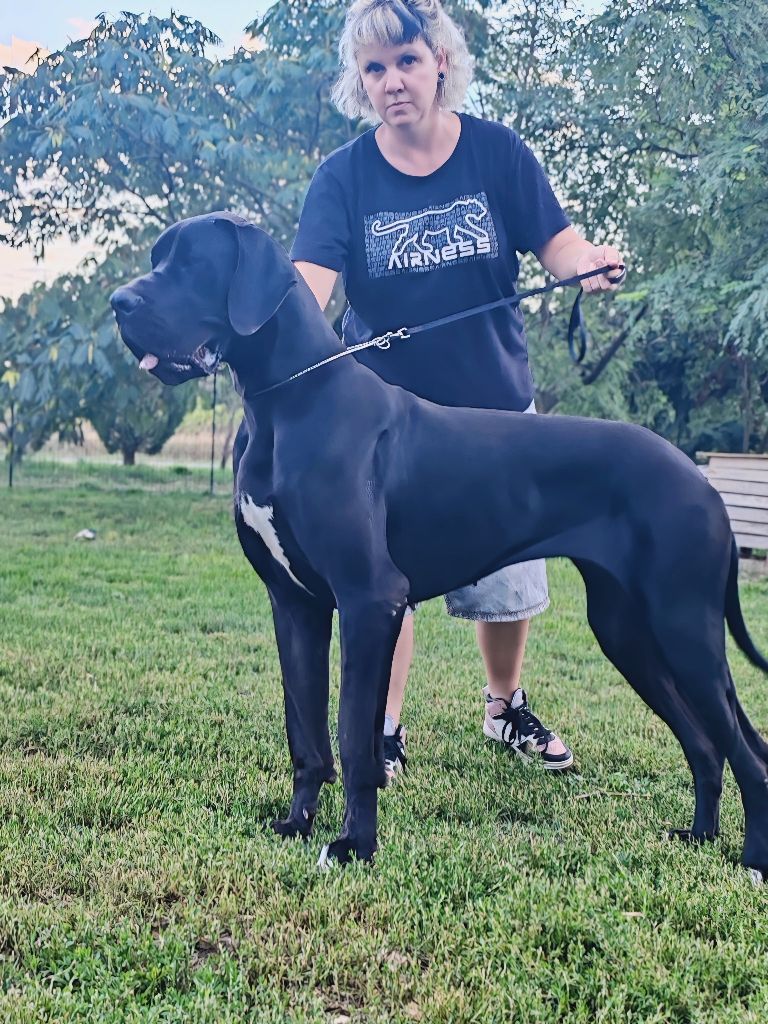 Publication : Du Domaine D'Orthos Auteur : Farjon audrey