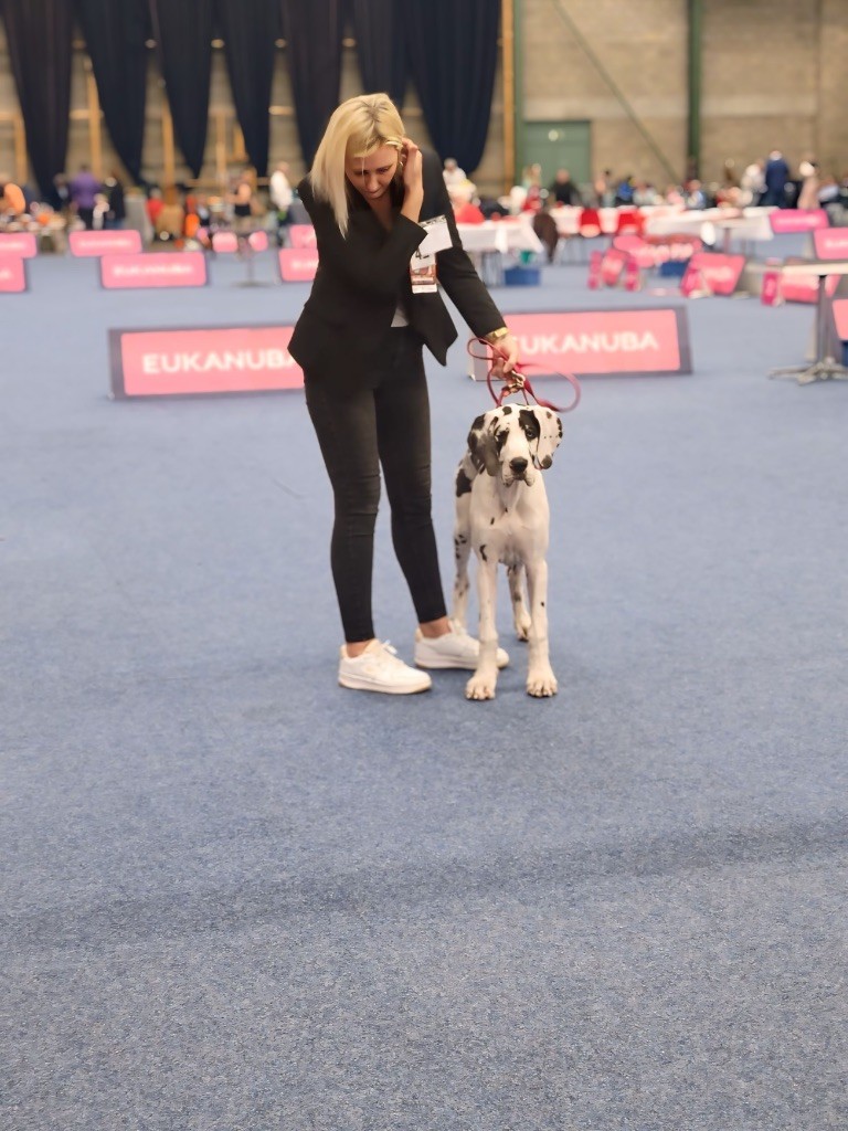 Publication : Domaine Di Matcho