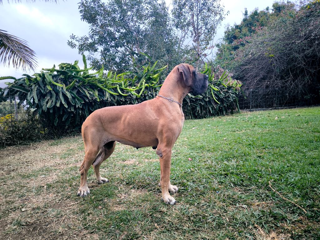 Publication : Du Domaine De Thorgal 