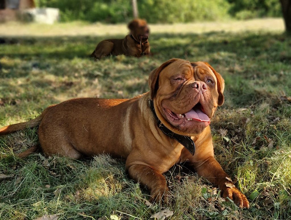 Publication : (Sans Affixe) Auteur : Laurence cabrera