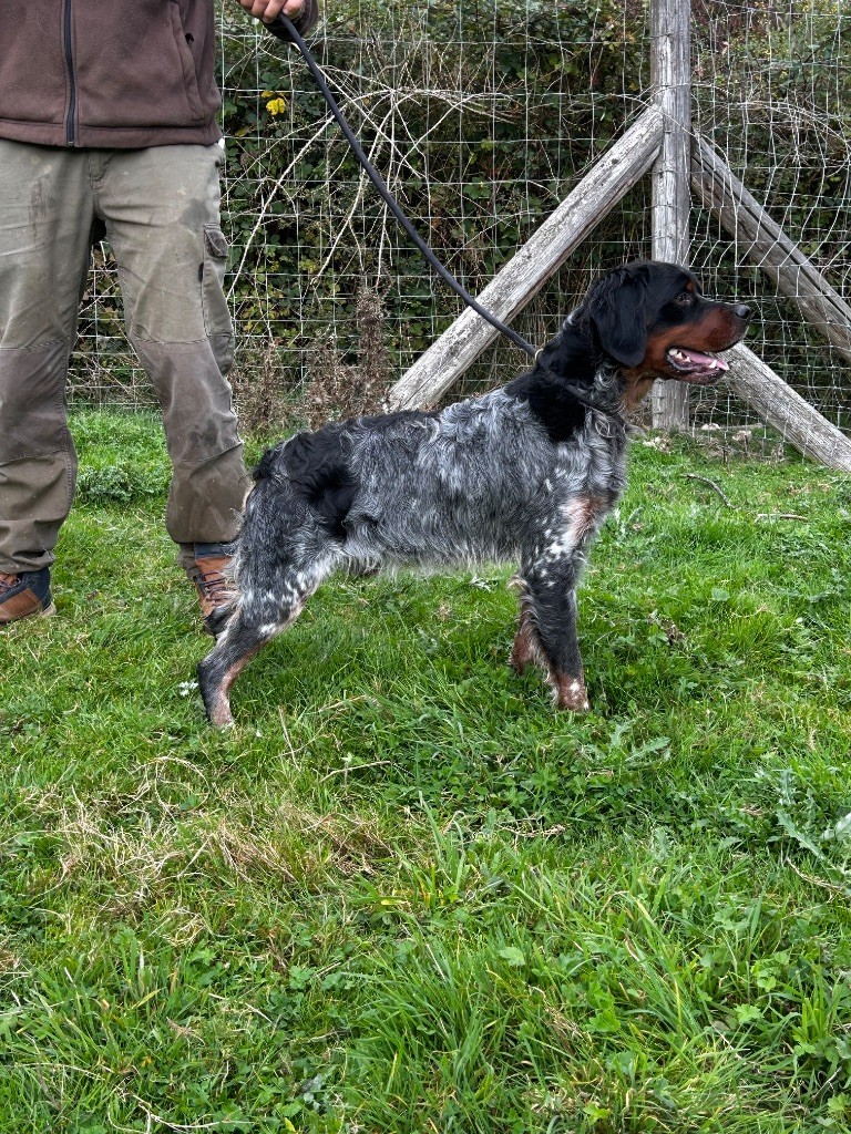 Publication : De La Terrible Menée 