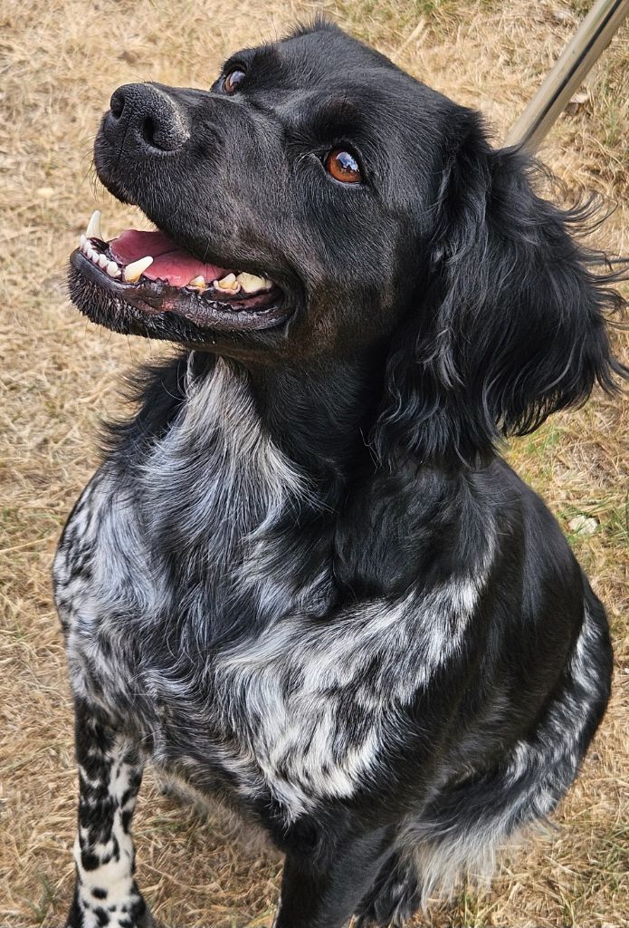 Publication : Du Bois Des Croules 