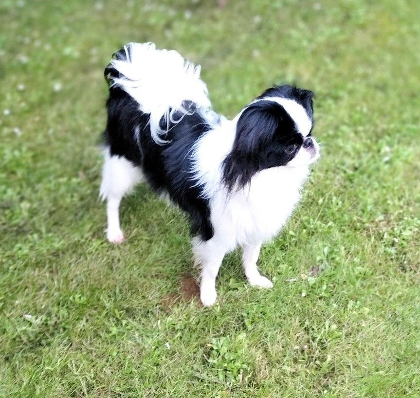 Publication : du Dieu de la Lumiere