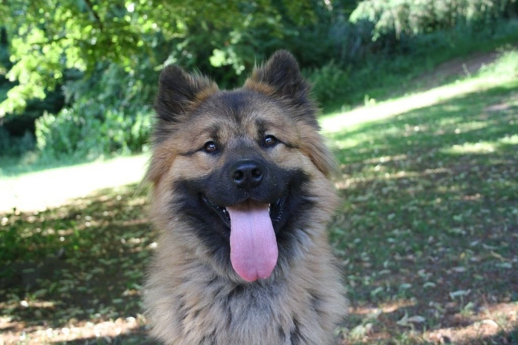 Publication : Des Oursons De La Fee