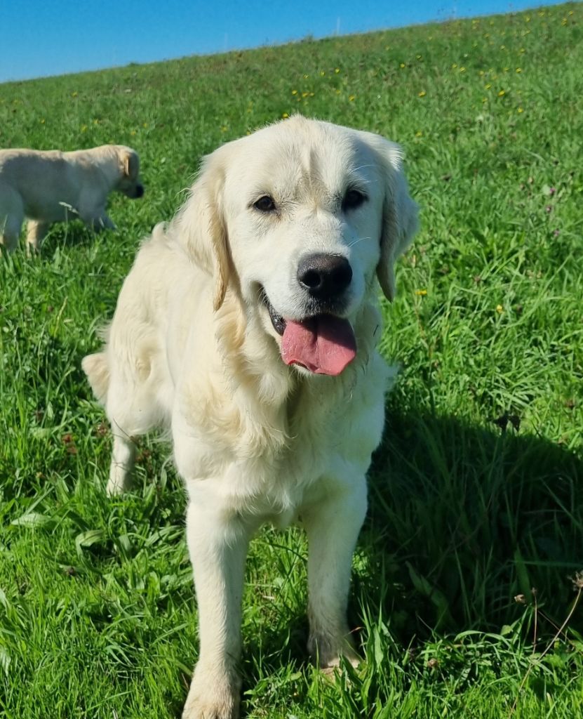 Publication : De La Colline D'Eole