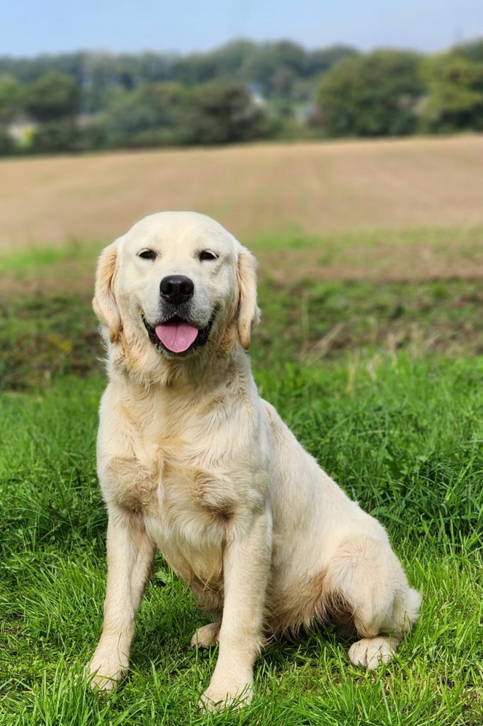 Publication : des Anges de la Claie